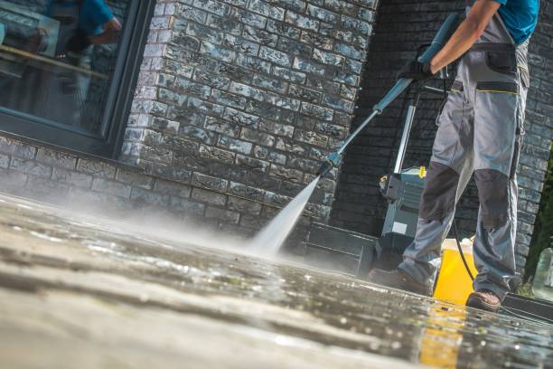  Ayden, NC Pressure Washing Pros